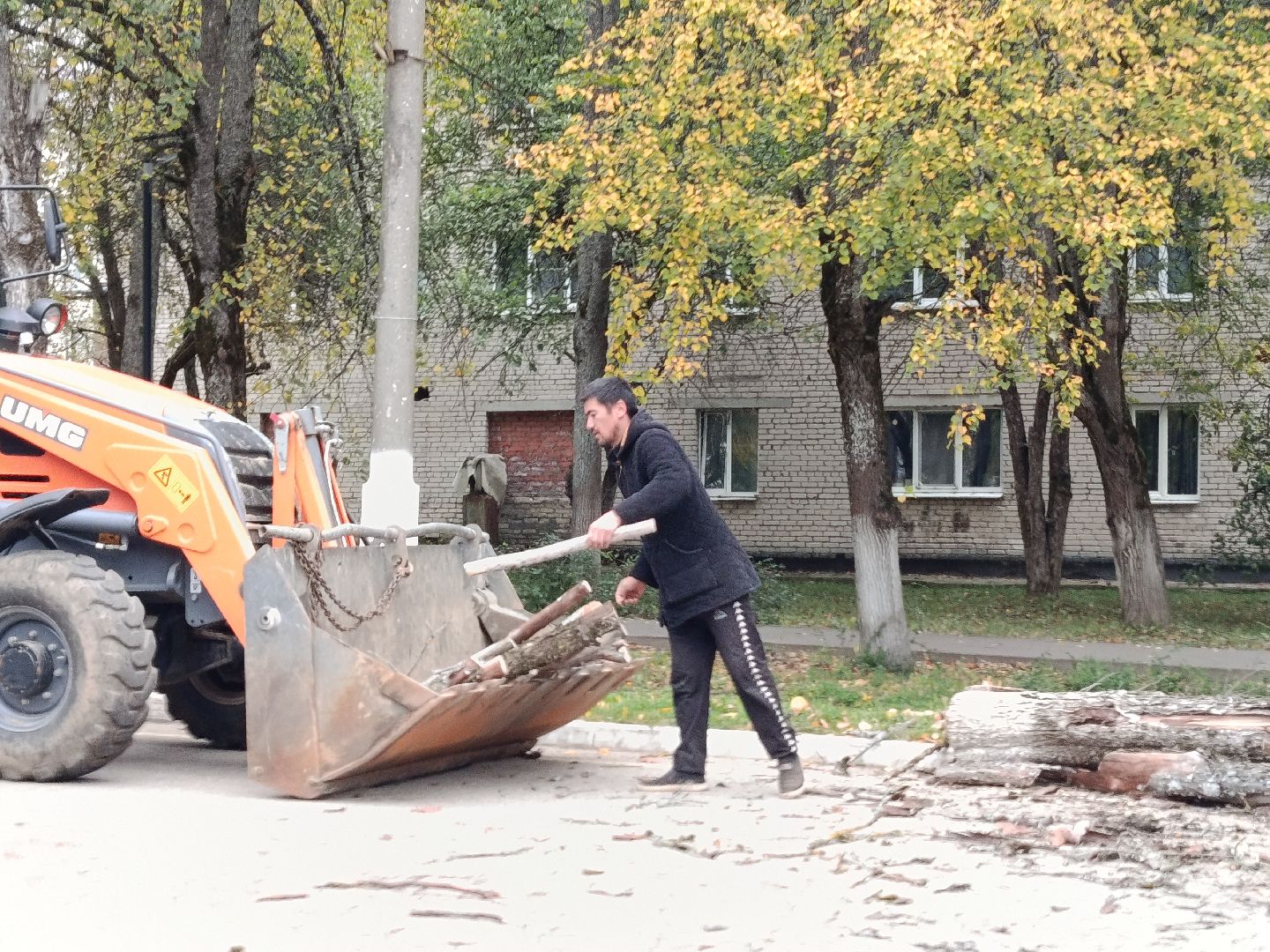 городской округ восход, благоустройство, сухостой, спил деревьев, сухостойные деревья,