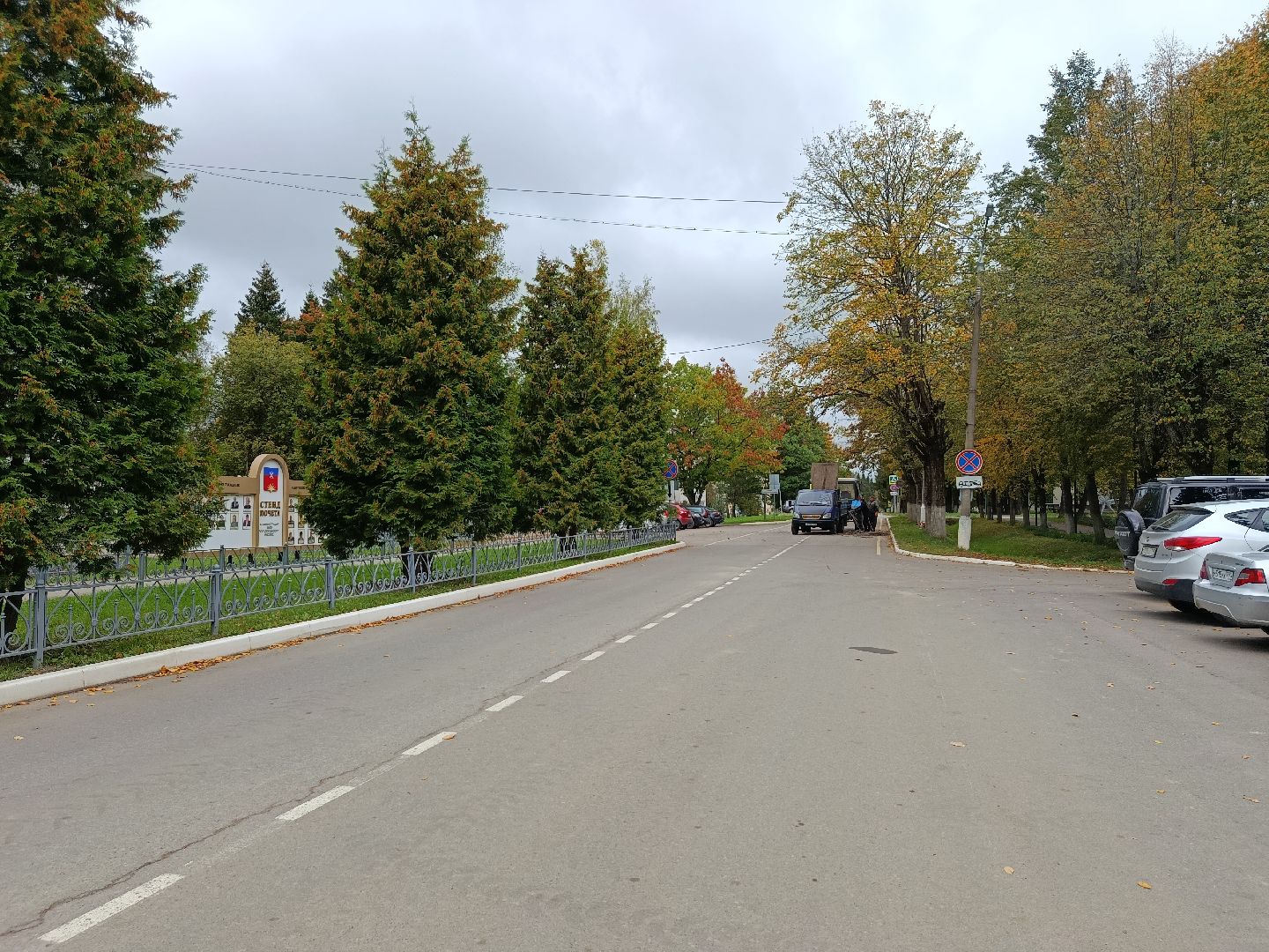городской округ восход, благоустройство, сухостой, спил деревьев, сухостойные деревья,