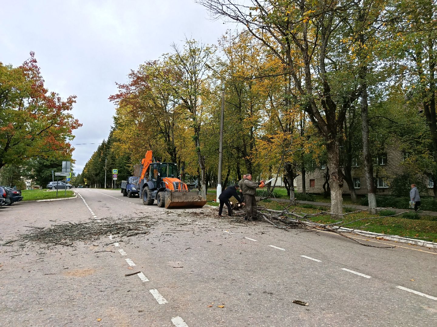городской округ восход, благоустройство, сухостой, спил деревьев, сухостойные деревья,