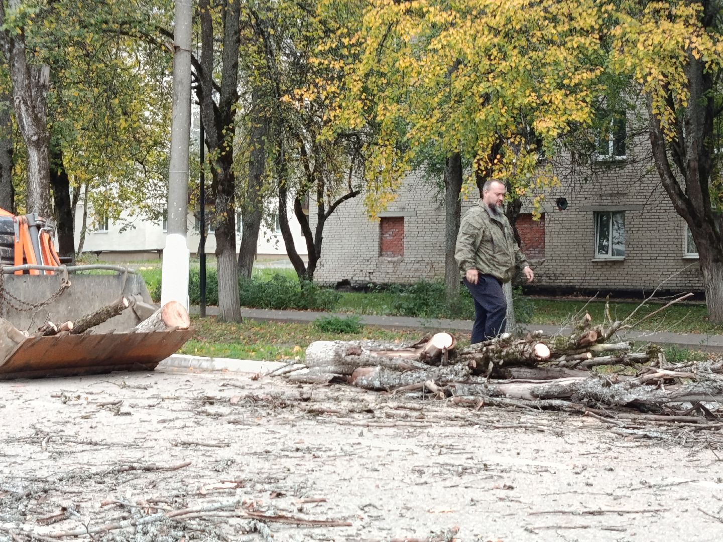городской округ восход, благоустройство, сухостой, спил деревьев, сухостойные деревья,