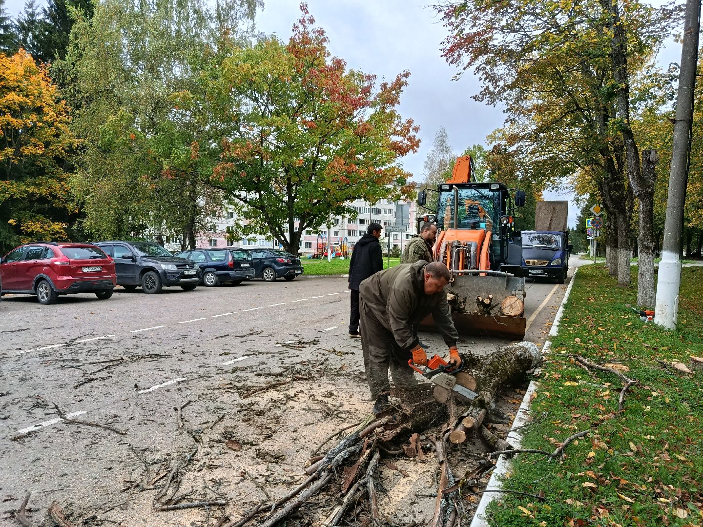 городской округ восход, благоустройство, сухостой, спил деревьев, сухостойные деревья,