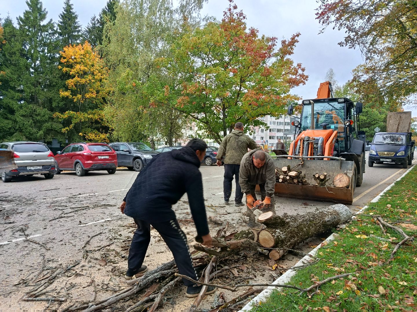 городской округ восход, благоустройство, сухостой, спил деревьев, сухостойные деревья,