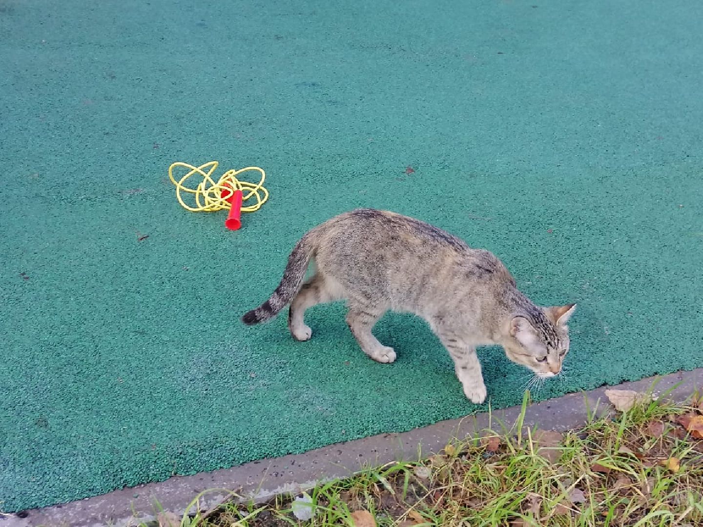 городской округ восход, благоустройство, новая детская площадка, воркаут площадка,