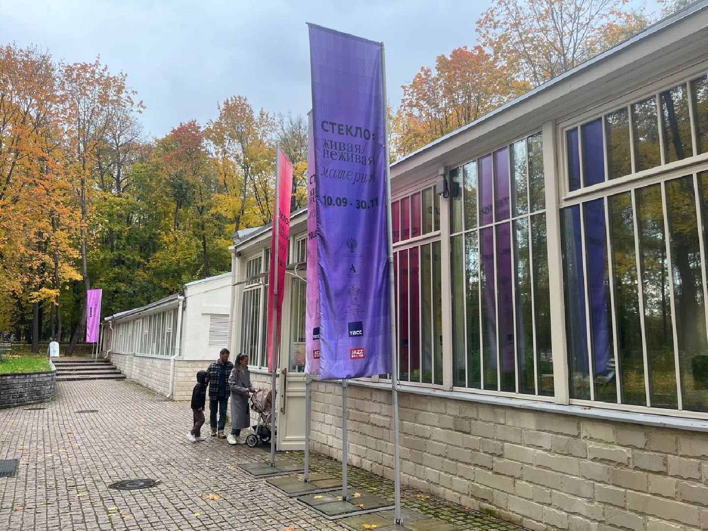 красногорск, медиация, выставка, стекло,