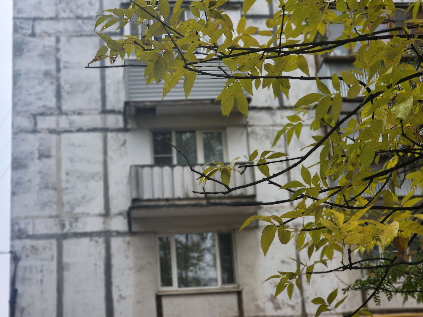 королёв, капитальный ремонт фасада дома на Грабина, администрация городского округа королев ,