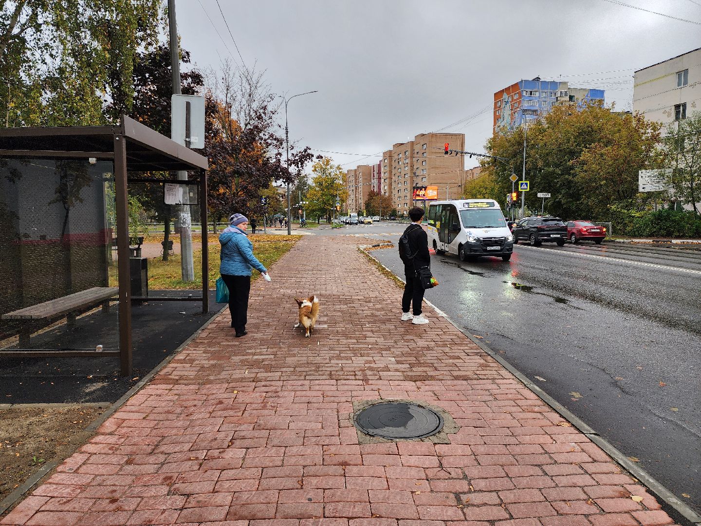 раменское, транспорт, новая автобусная остановка на улице михалевича,