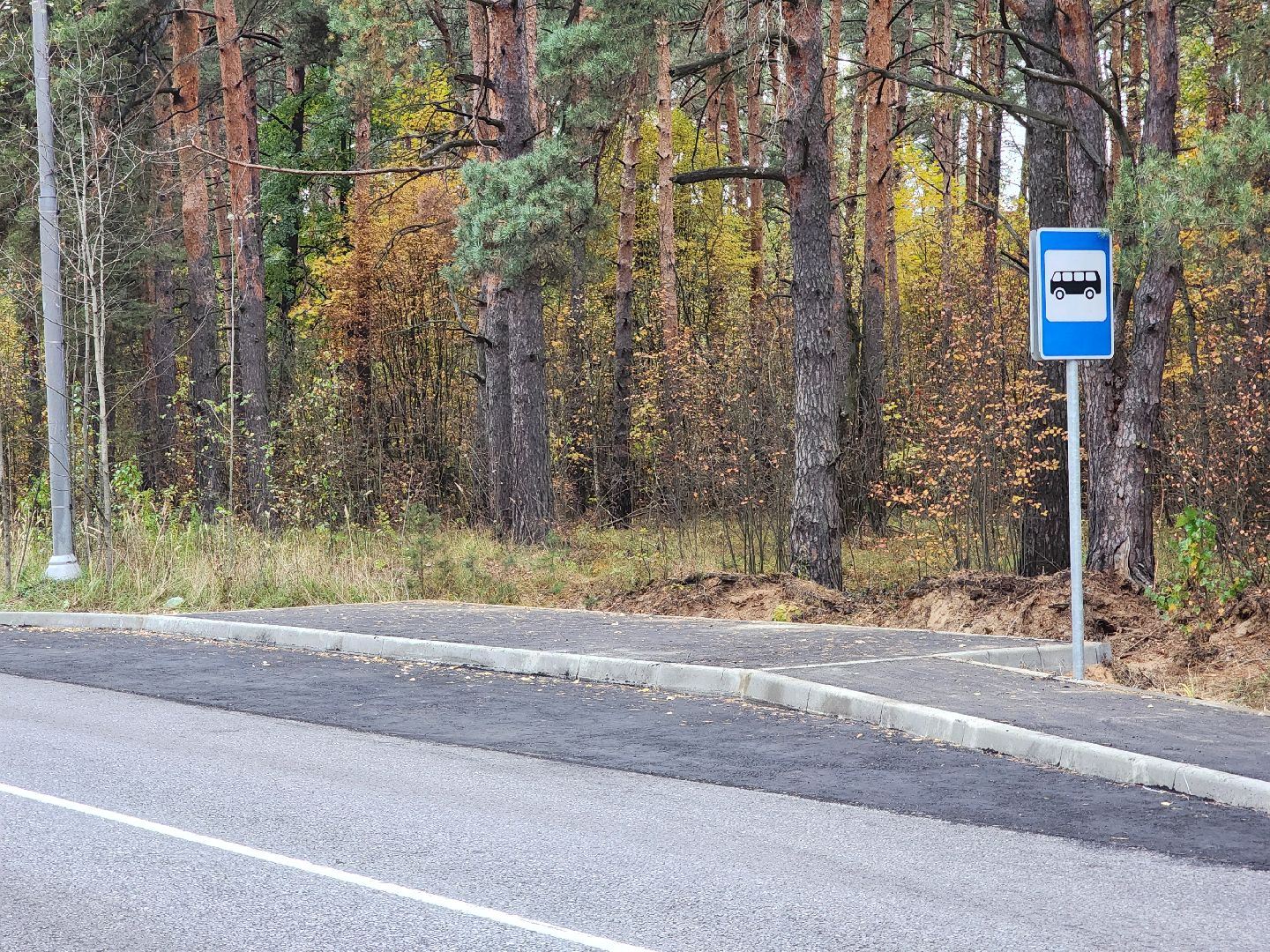 общественный транспорт, остановка, автобусная остановка, старая купавна, богородский городской округ,