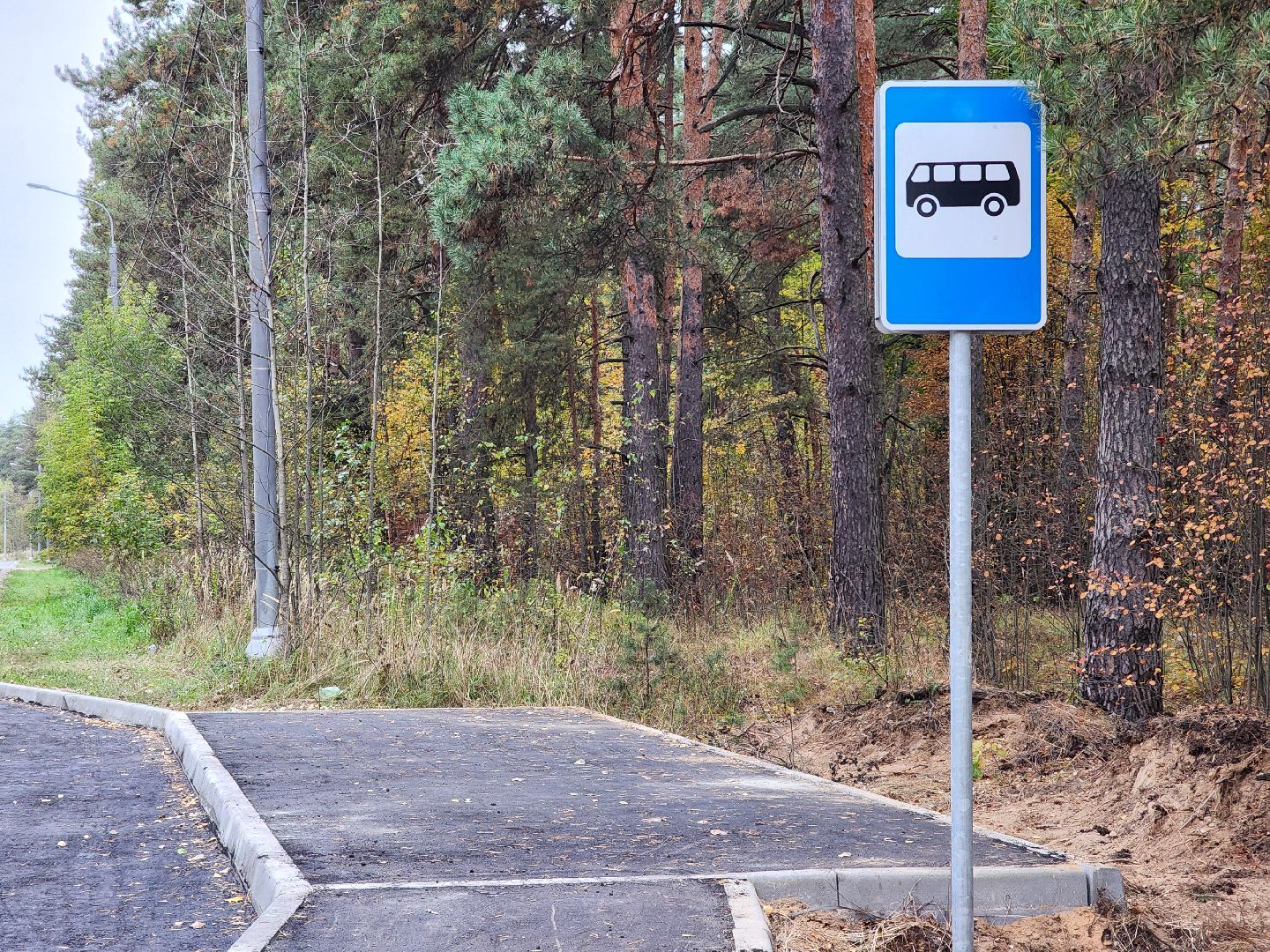 общественный транспорт, остановка, автобусная остановка, старая купавна, богородский городской округ,