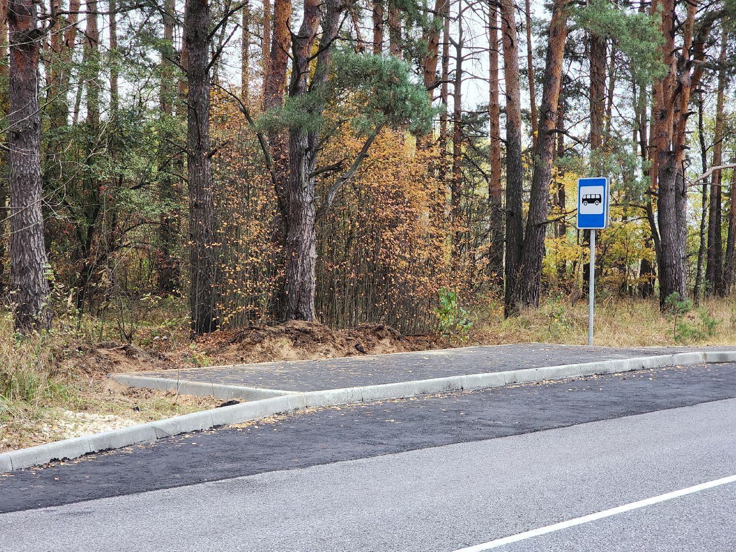 общественный транспорт, остановка, автобусная остановка, старая купавна, богородский городской округ,