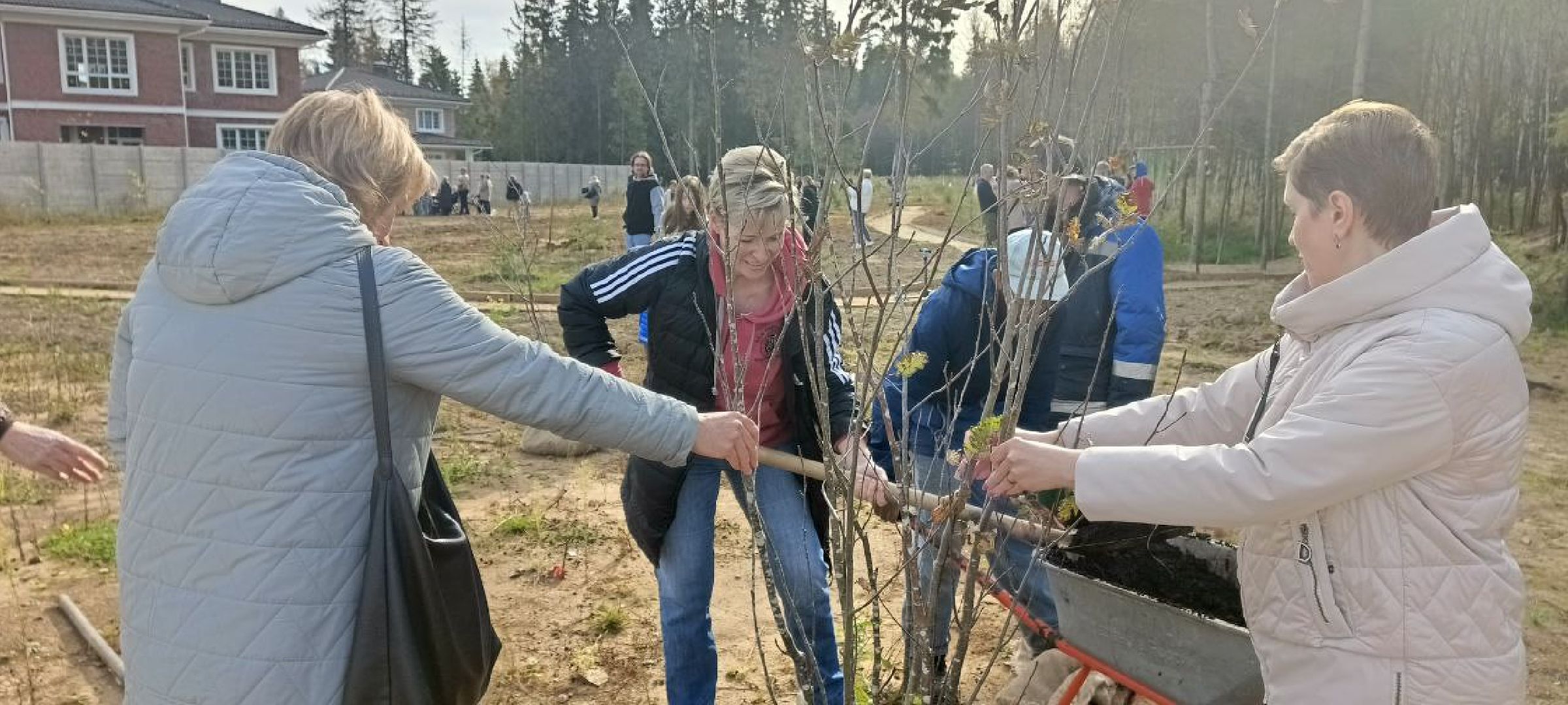 Дмитров, ЖК Мечта, Парк Ежик, Минблаго,