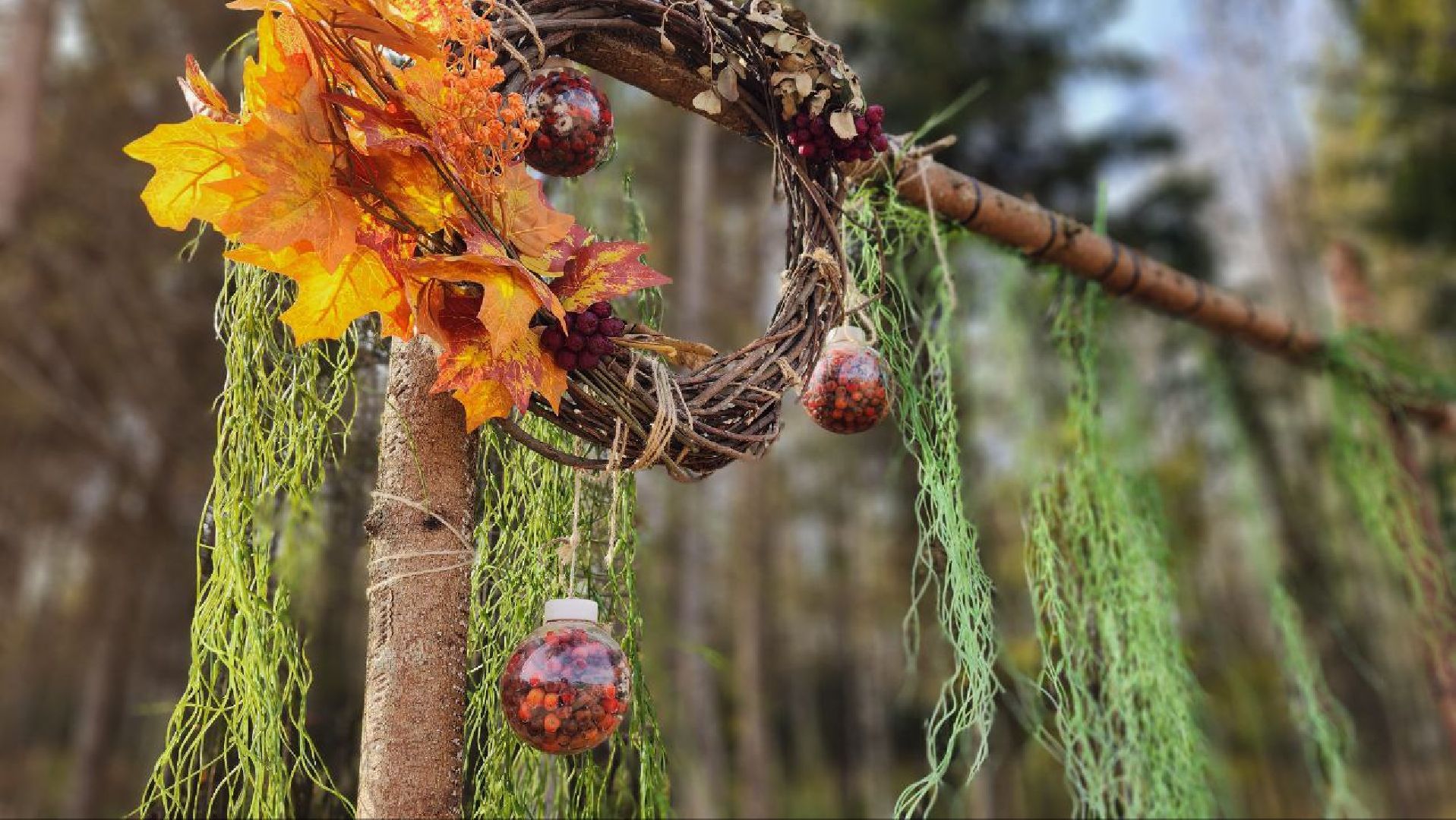 Дмитров, ЖК Мечта, Парк Ежик, Минблаго,