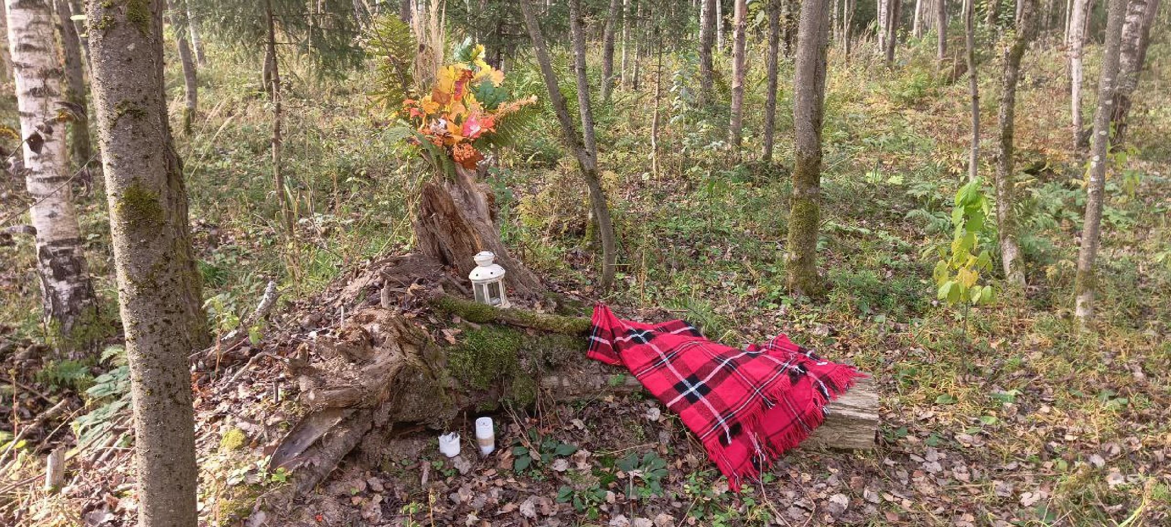 Дмитров, ЖК Мечта, Парк Ежик, Минблаго,