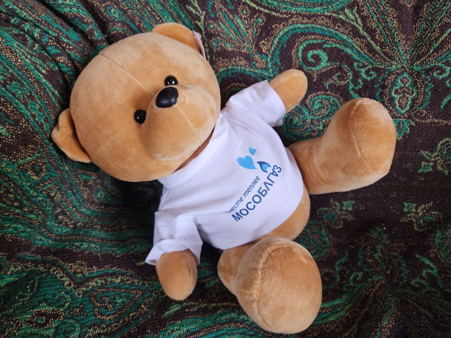 Егорьевск , Подмосковье , Московская область ,