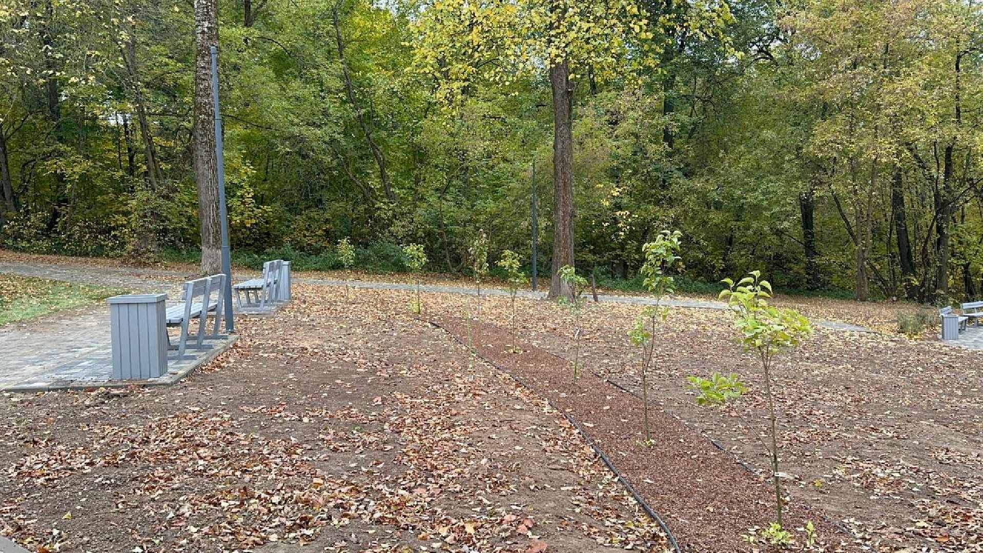 благоуствойство, чехов, сквер,