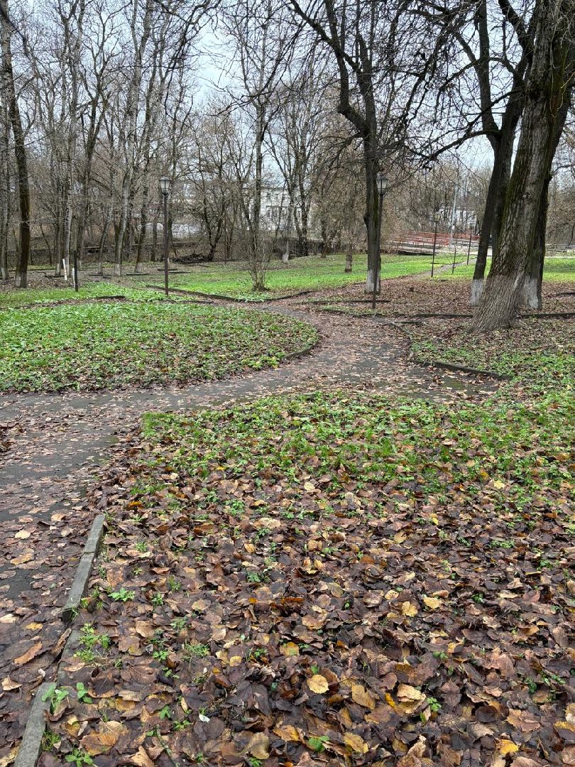 благоуствойство, чехов, сквер,