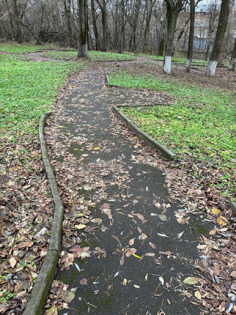 благоуствойство, чехов, сквер,