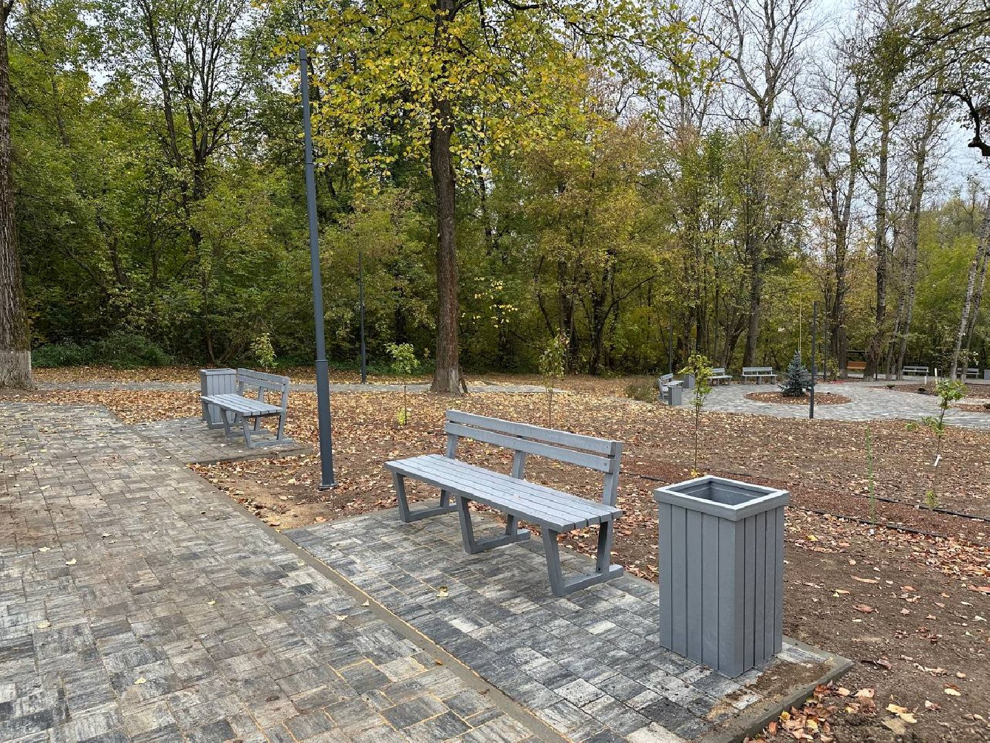 благоуствойство, чехов, сквер,