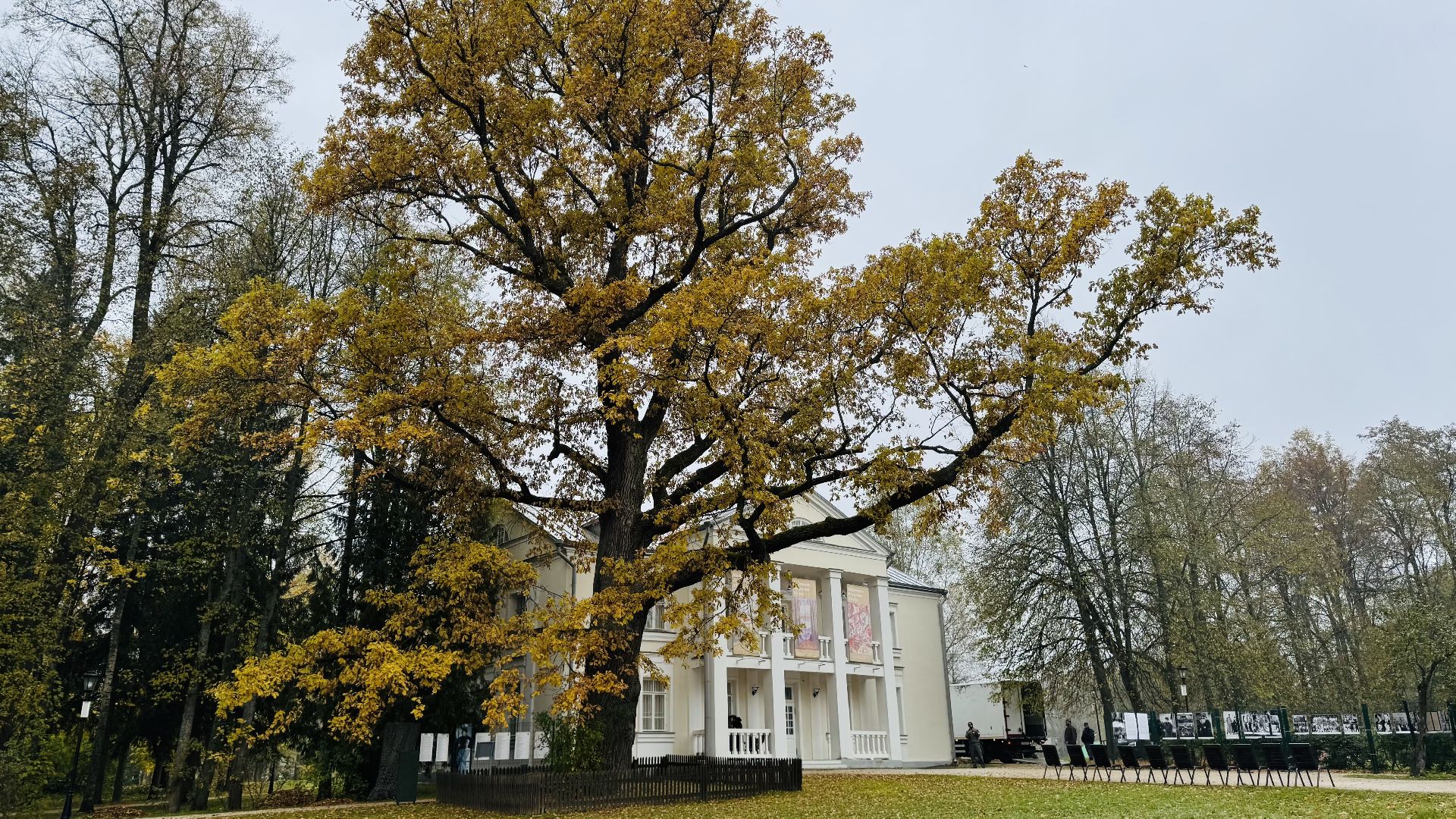Абрамцево, музей-заповедник абрамцево, абрамцевский дуб,