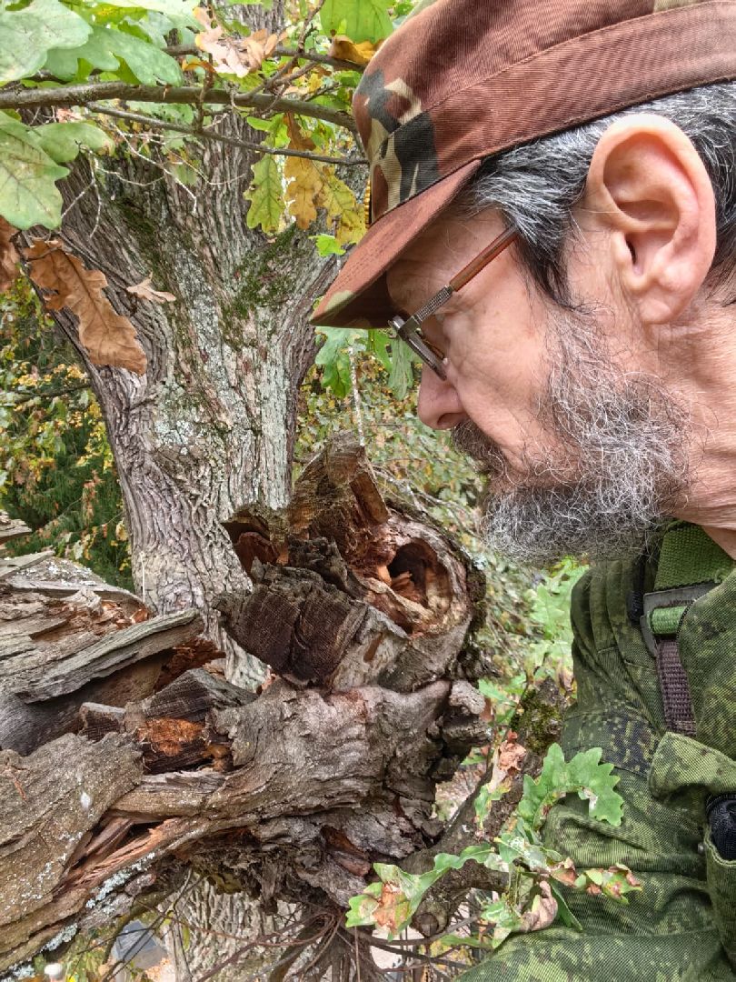 Абрамцево, музей-заповедник абрамцево, абрамцевский дуб,