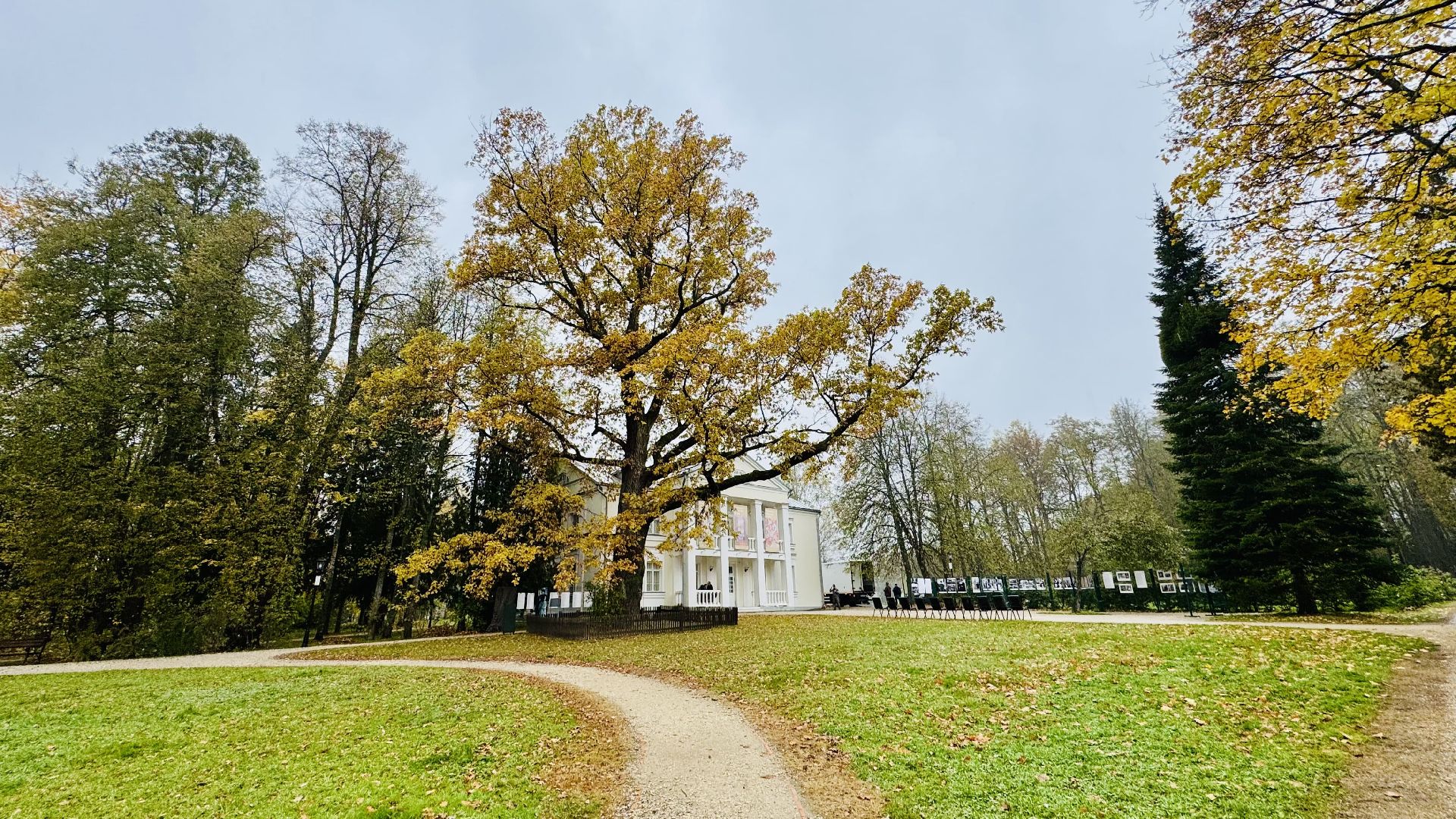 Абрамцево, музей-заповедник абрамцево, абрамцевский дуб,