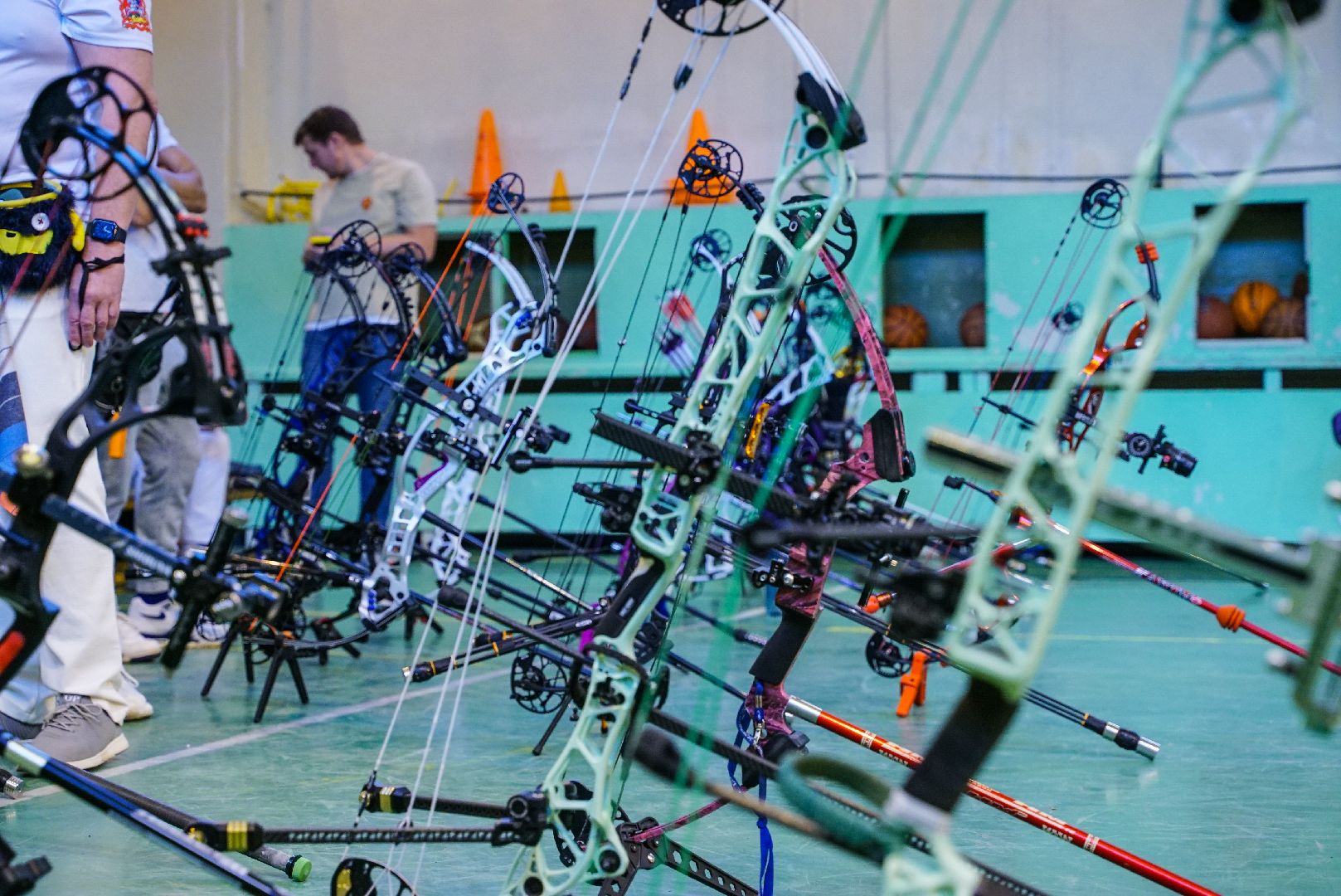 лук, стрельба, кубок,