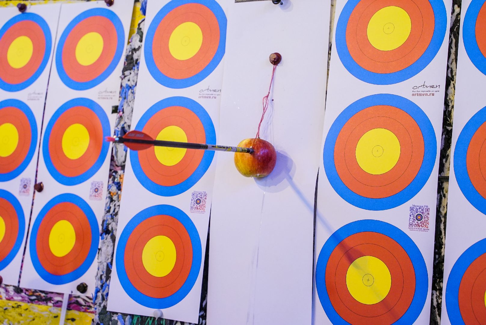 лук, стрельба, кубок,