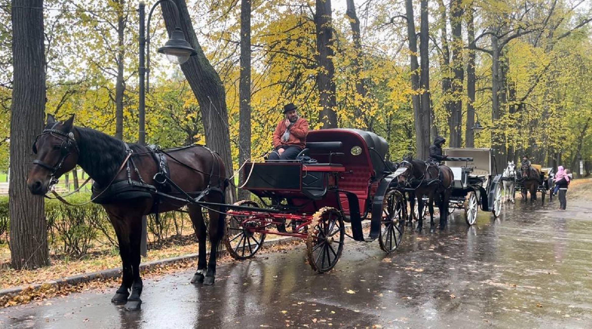 красногорск, лошади, усадьба, прогулка,