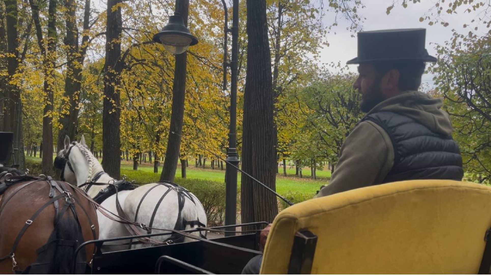 красногорск, лошади, усадьба, прогулка,