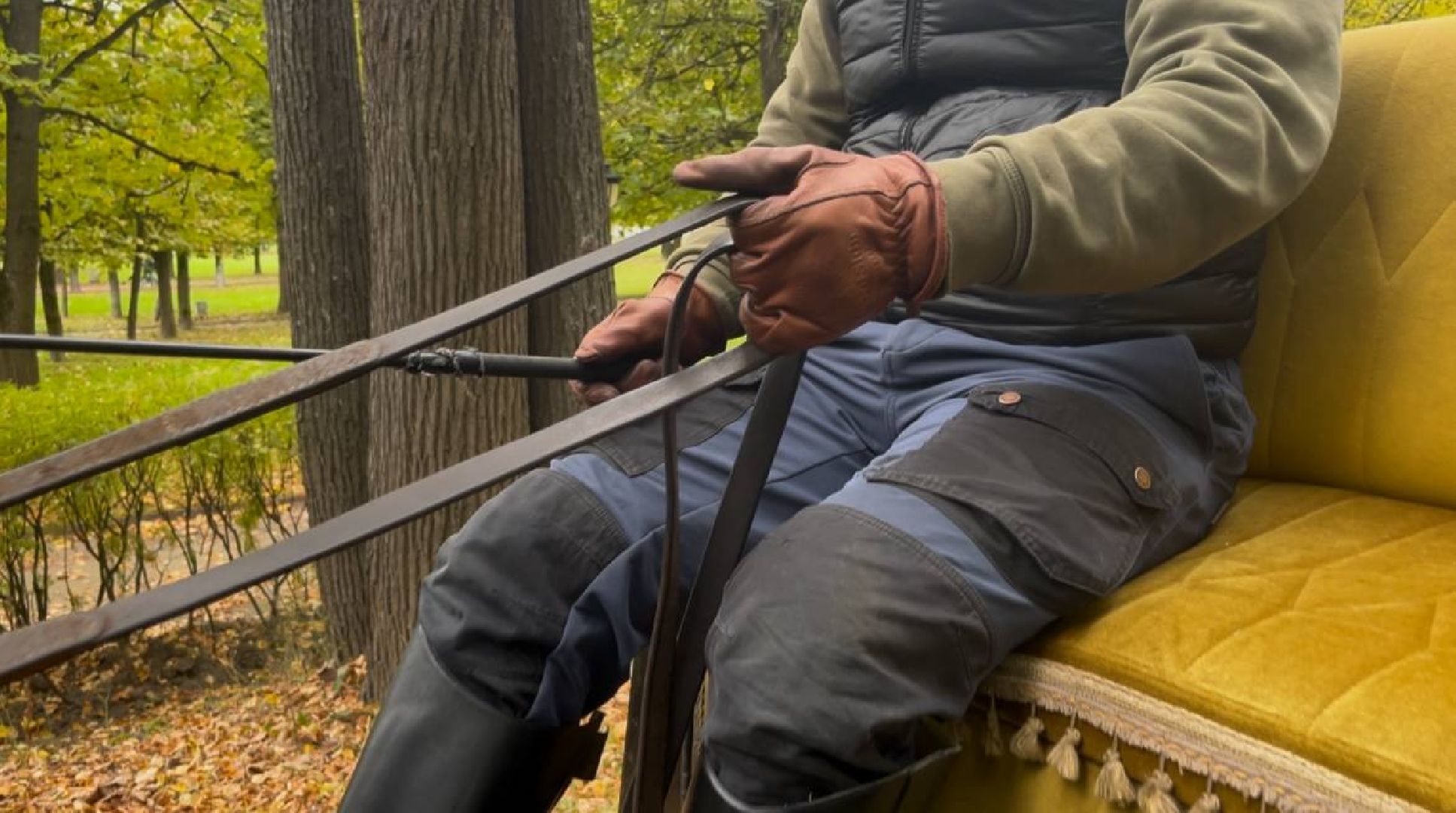 красногорск, лошади, усадьба, прогулка,