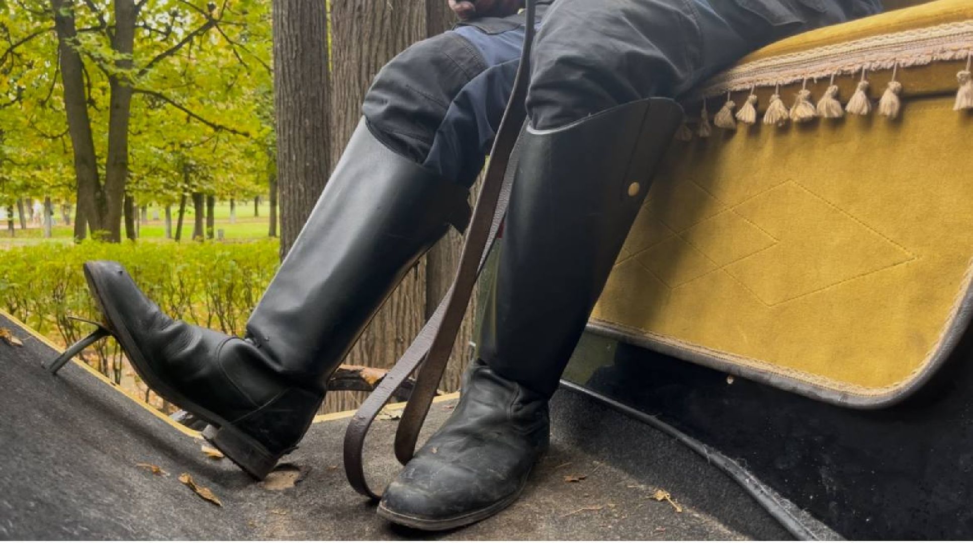 красногорск, лошади, усадьба, прогулка,