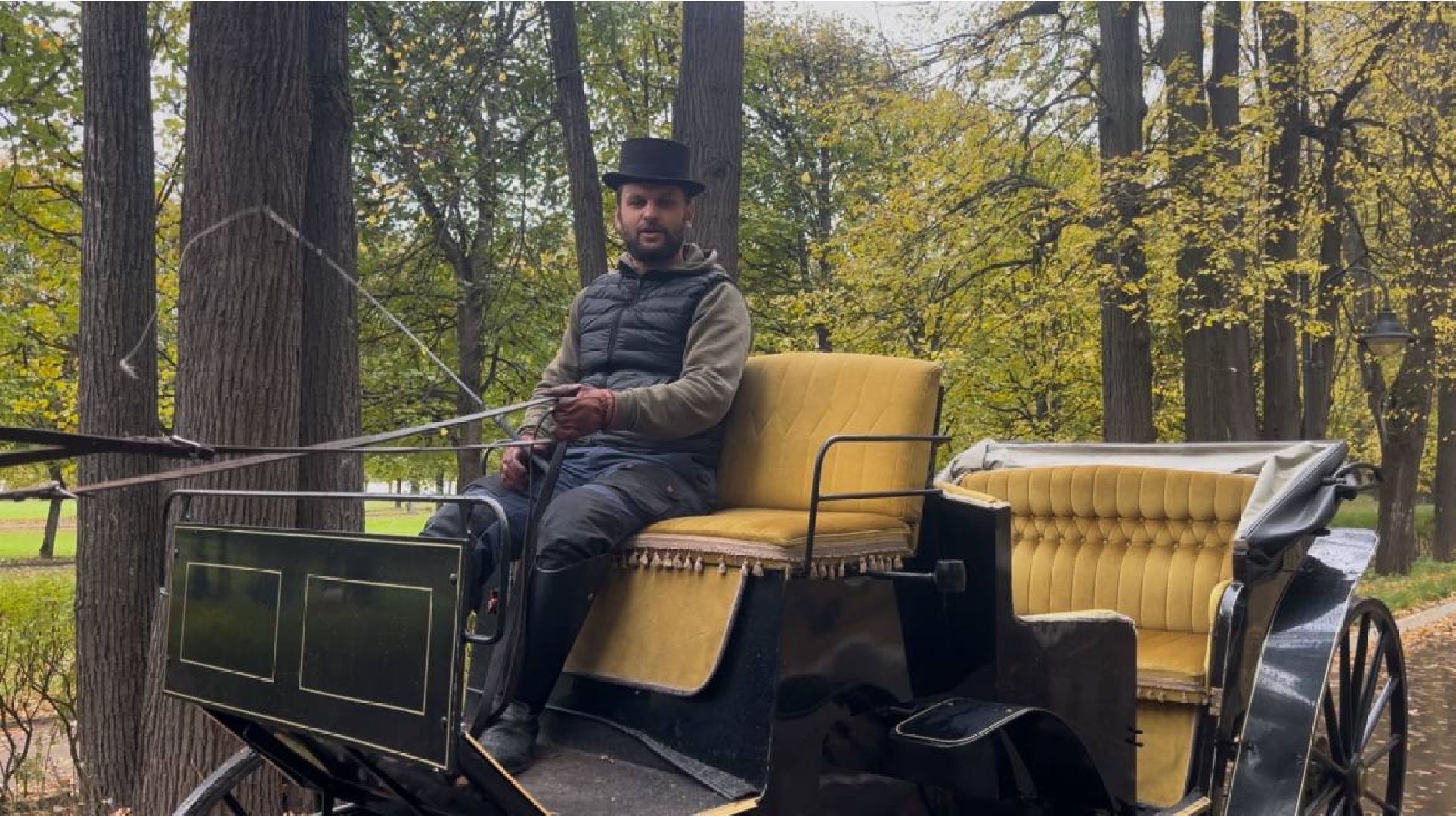 красногорск, лошади, усадьба, прогулка,