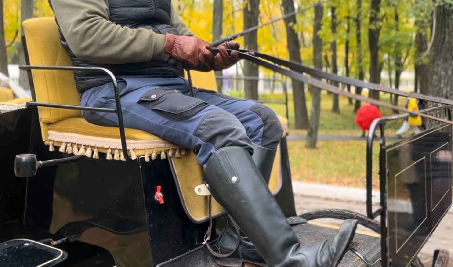 красногорск, лошади, усадьба, прогулка,