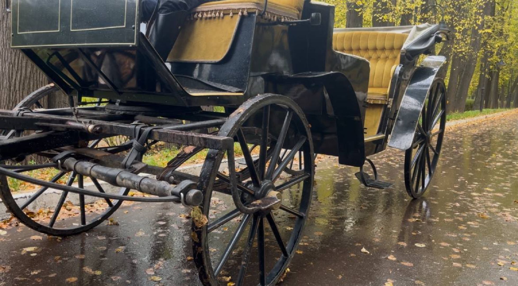 красногорск, лошади, усадьба, прогулка,