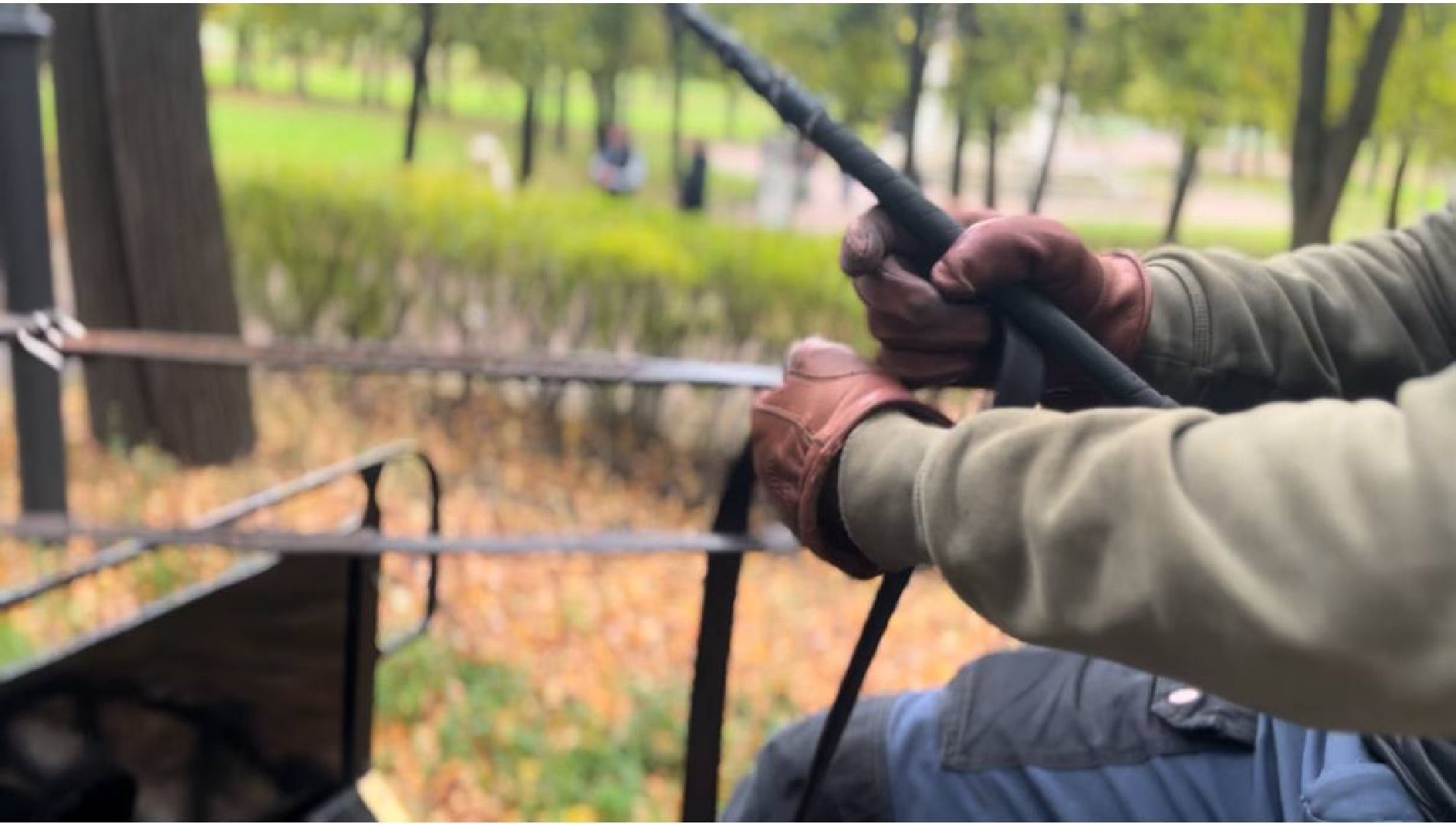 красногорск, лошади, усадьба, прогулка,