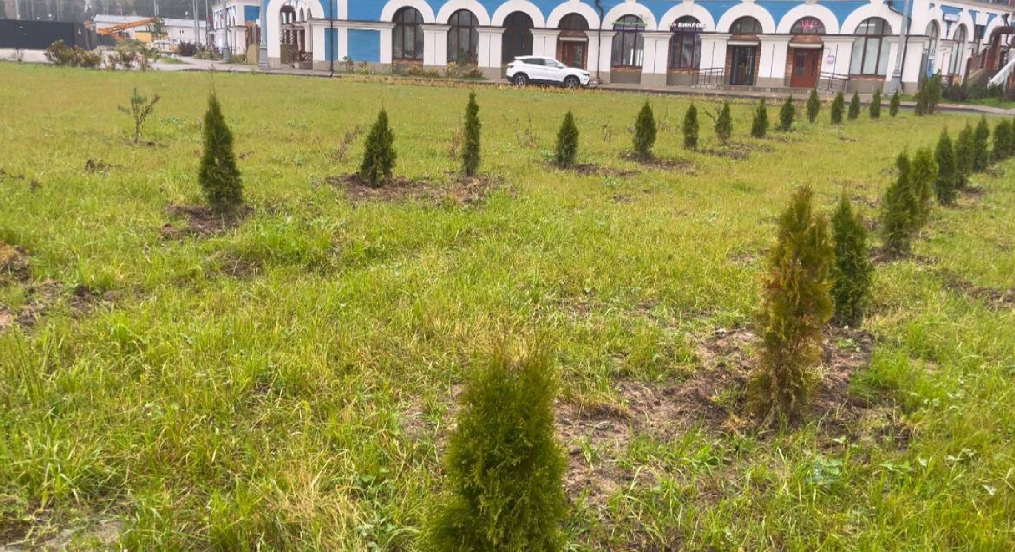 благоустройство, красногорск, аллея,