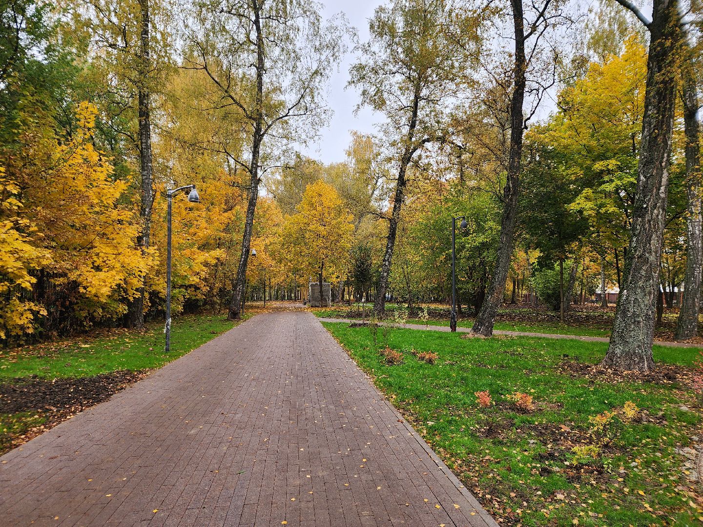 Подольск , Благоустройство , Лесопарк березки,