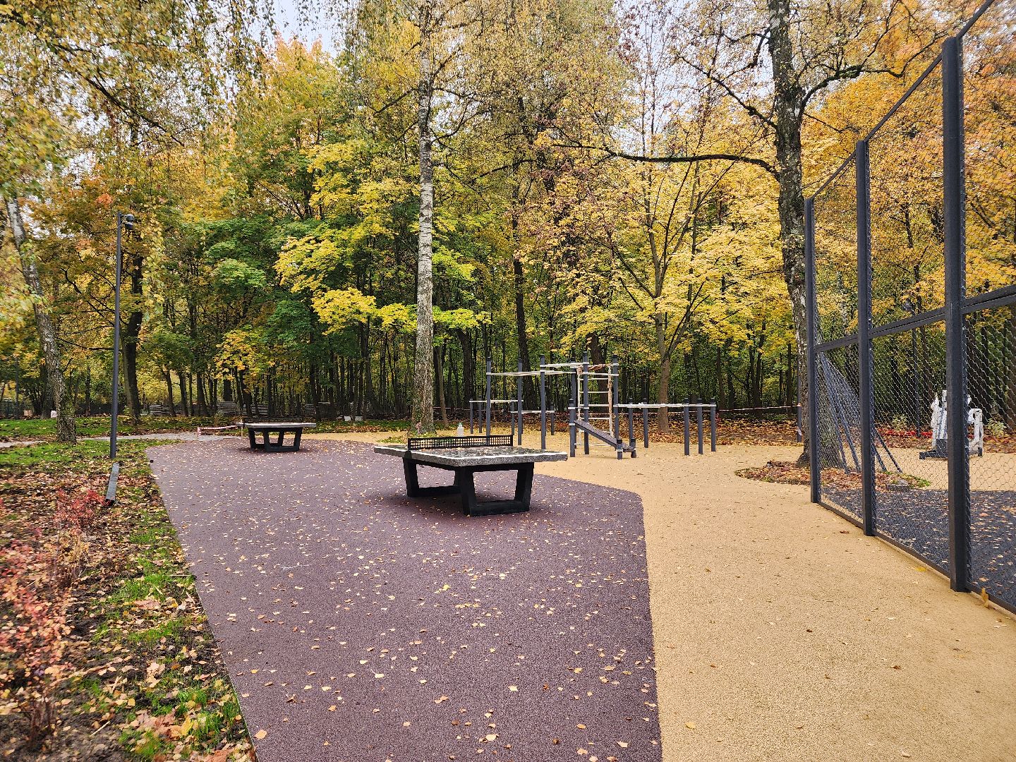 Подольск , Благоустройство , Лесопарк березки,