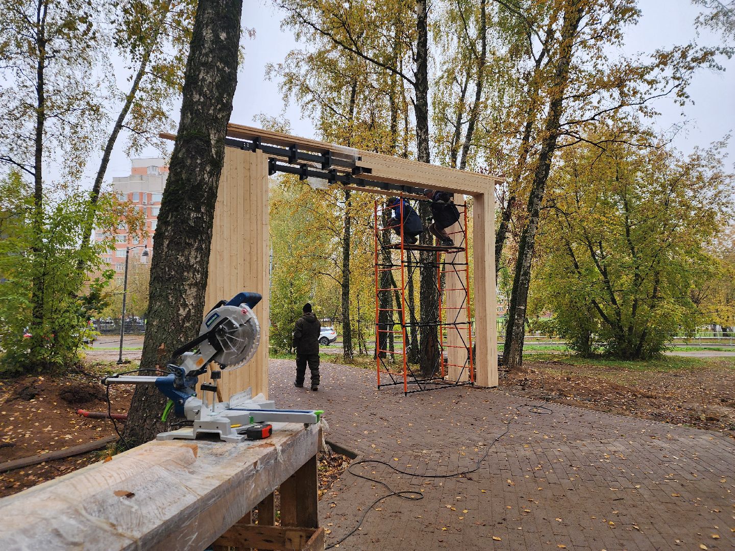 Подольск , Благоустройство , Лесопарк березки,