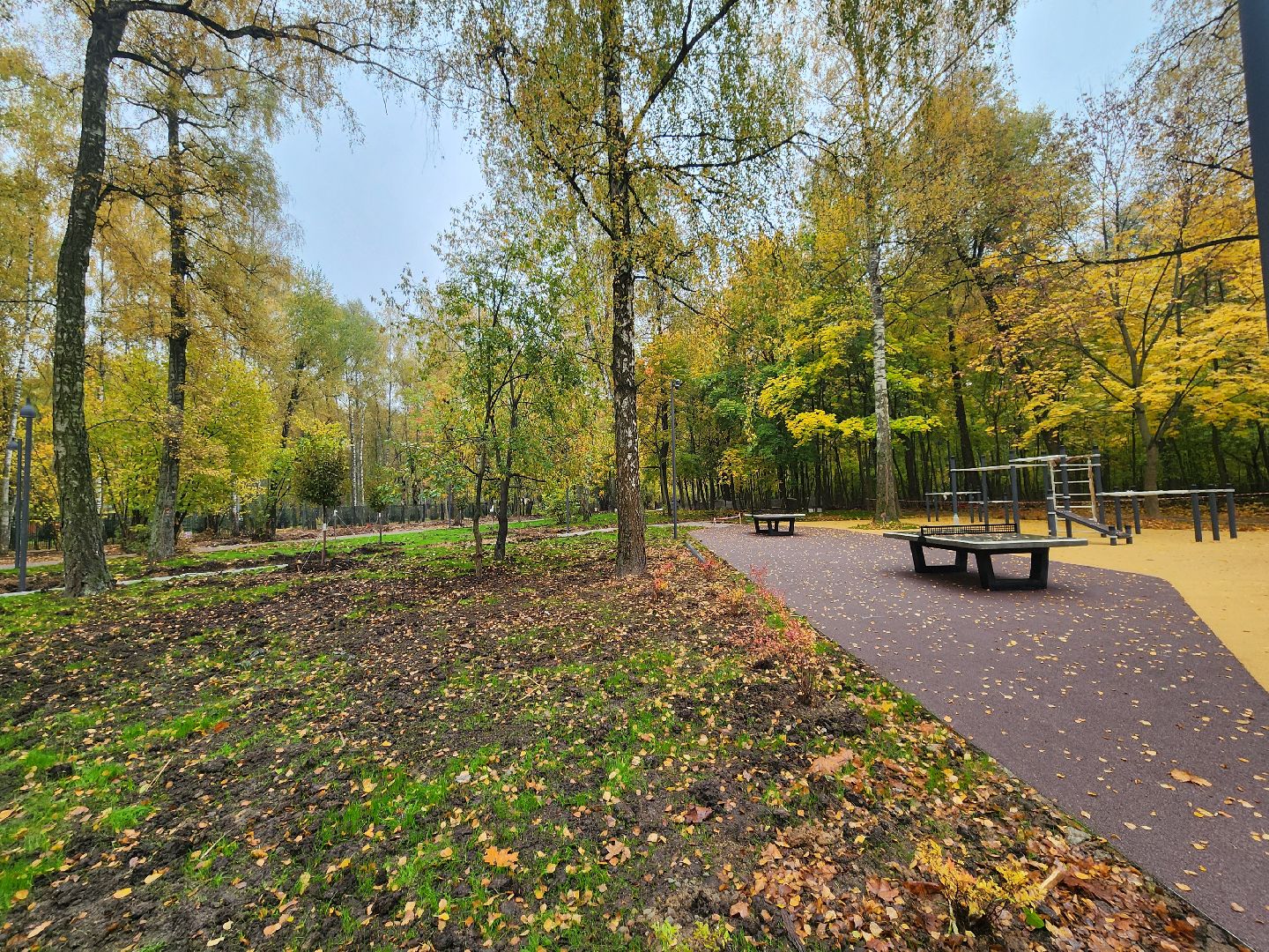 Подольск , Благоустройство , Лесопарк березки,