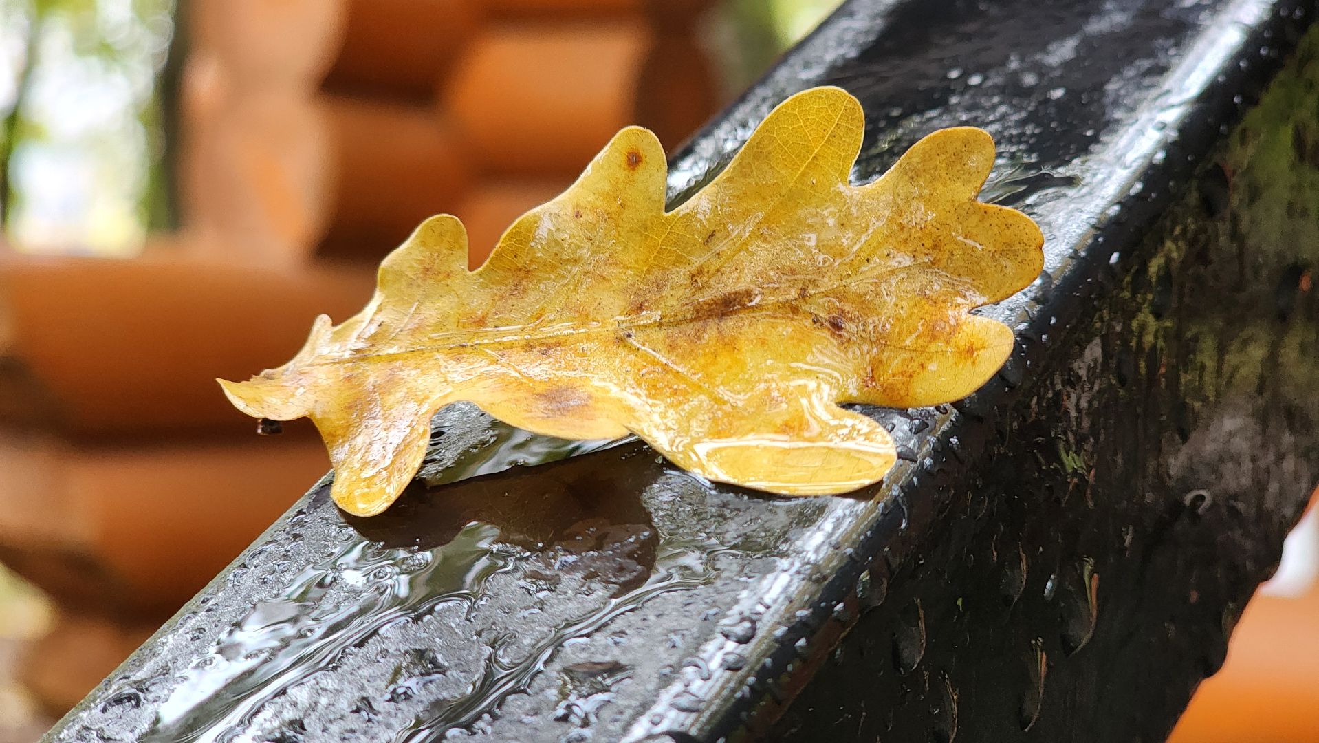 Руза, парк городок, новая лестница, благоустройство,