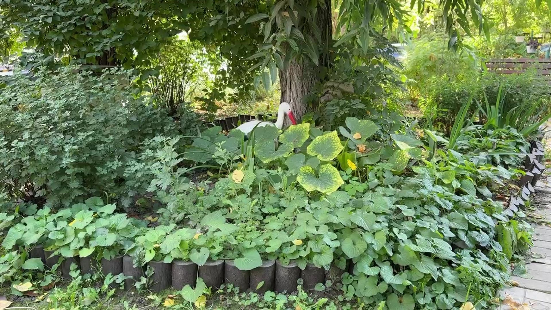 Реутов, благоустройство, сквер, клумбы, цветы,