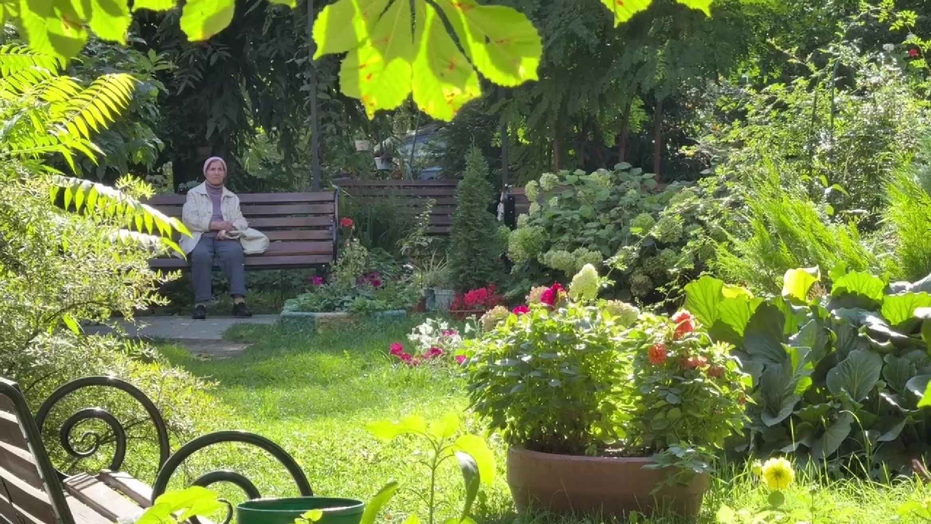 Реутов, благоустройство, сквер, клумбы, цветы,