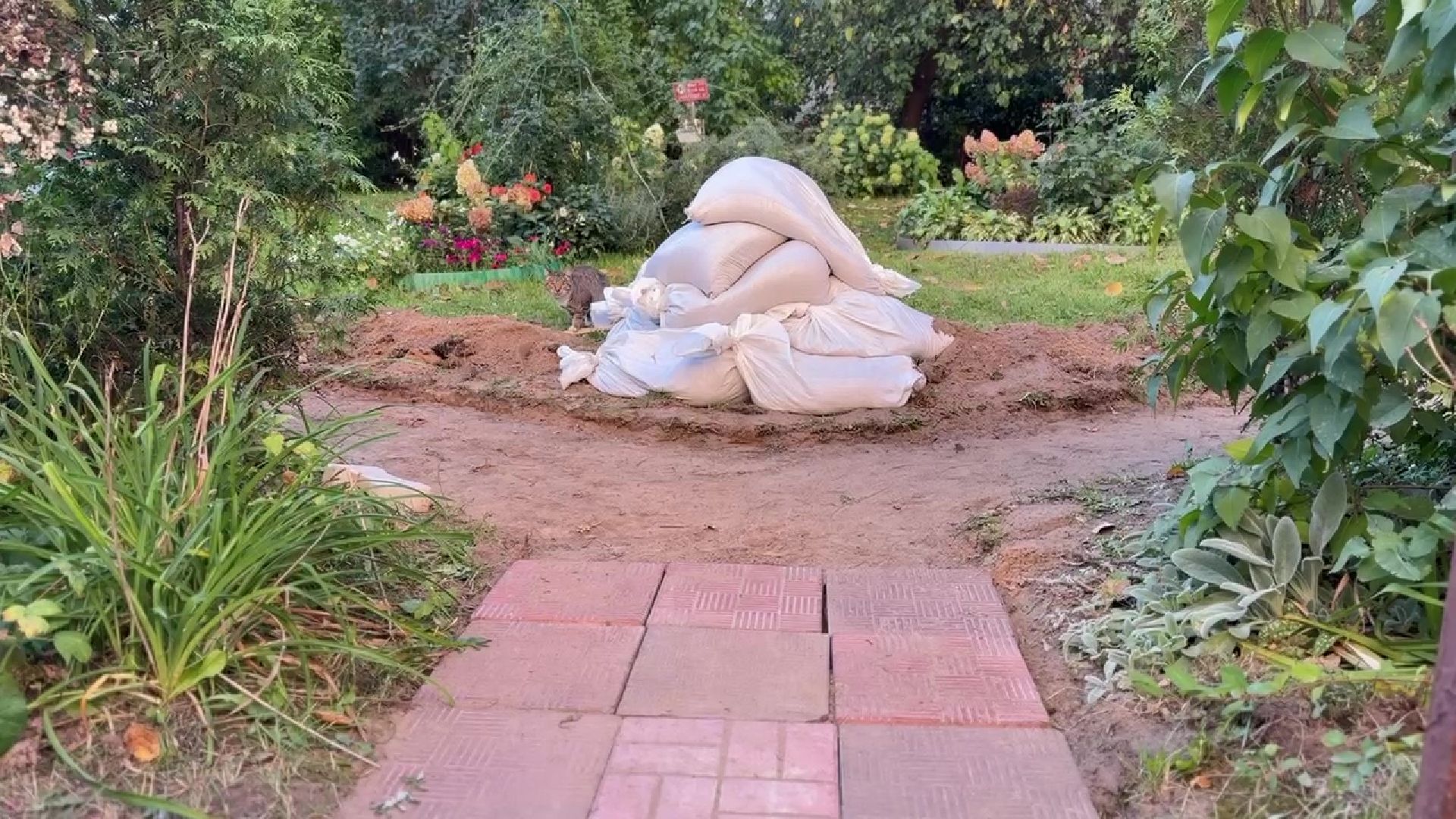 Реутов, благоустройство, сквер, клумбы, цветы,