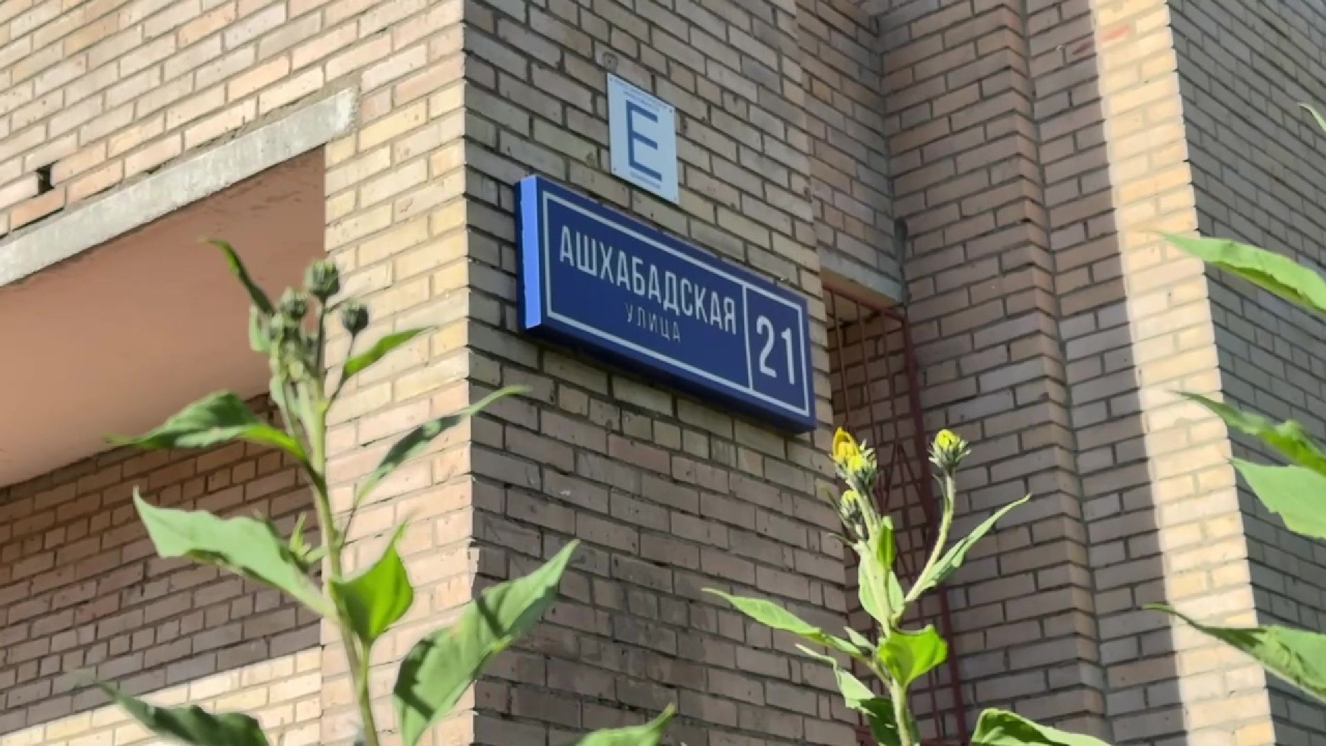 Реутов, благоустройство, сквер, клумбы, цветы,