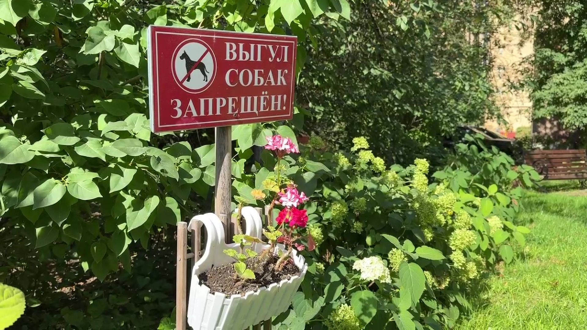 Реутов, благоустройство, сквер, клумбы, цветы,