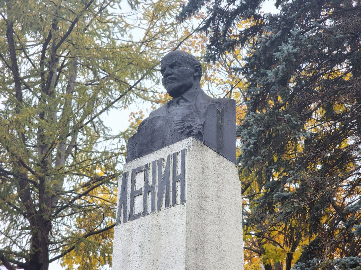 сергиев посад, сергиево-посадский городской округ, ленин, памятник ленину, михаил семенов, кпрф, красногорская площадь, старая лаврская гостиница,