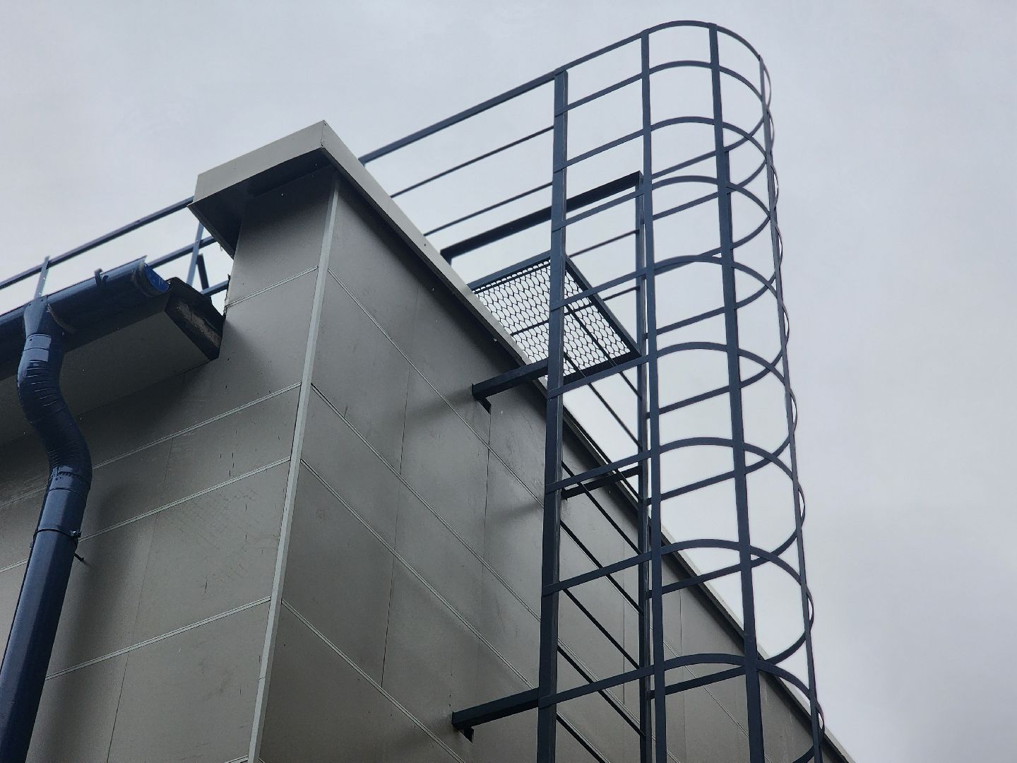 королёв, детский сад 5 на пионерской , администрация городского округа королев ,