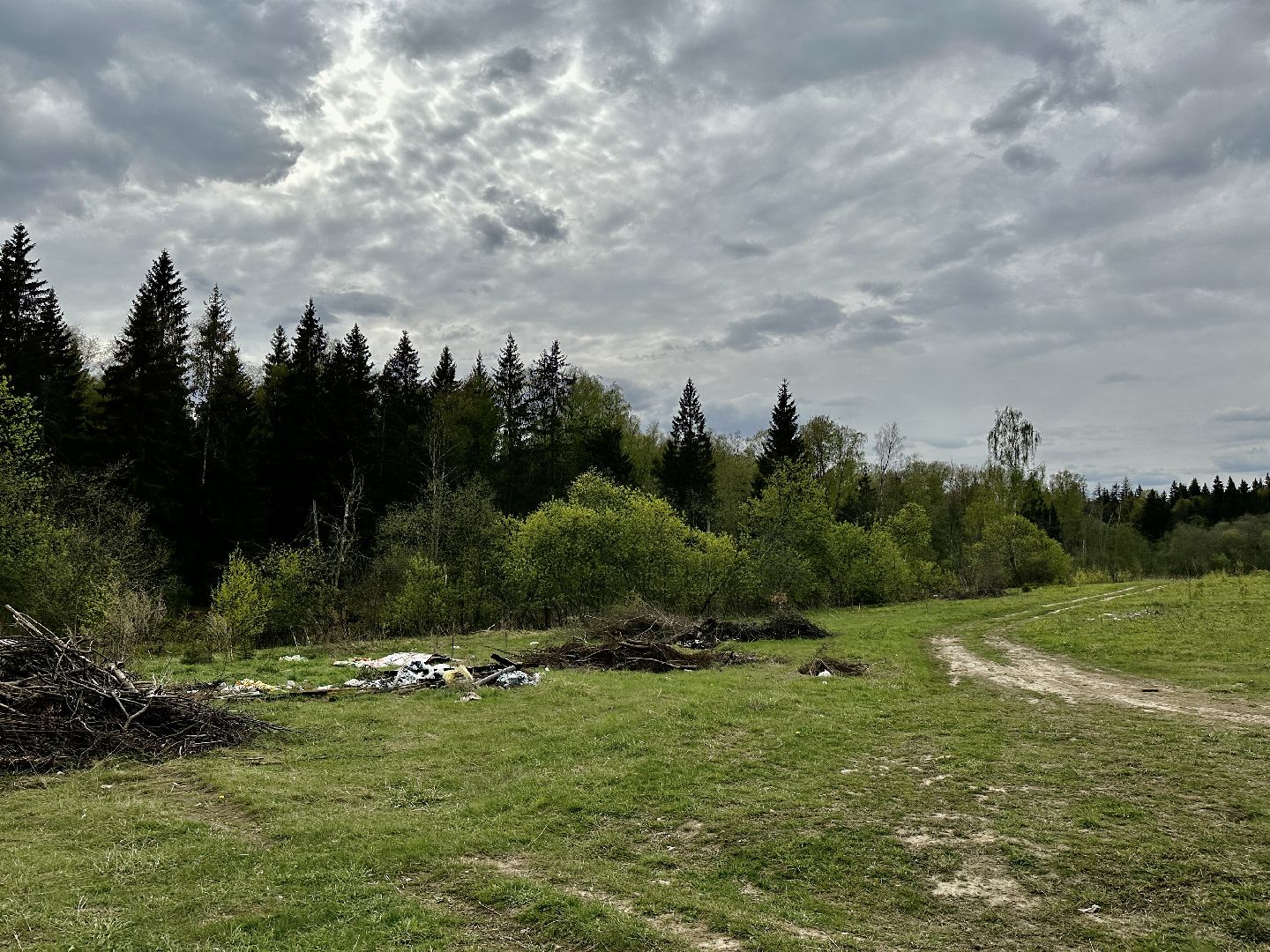 Клин, экология, нарушение закона, свалки