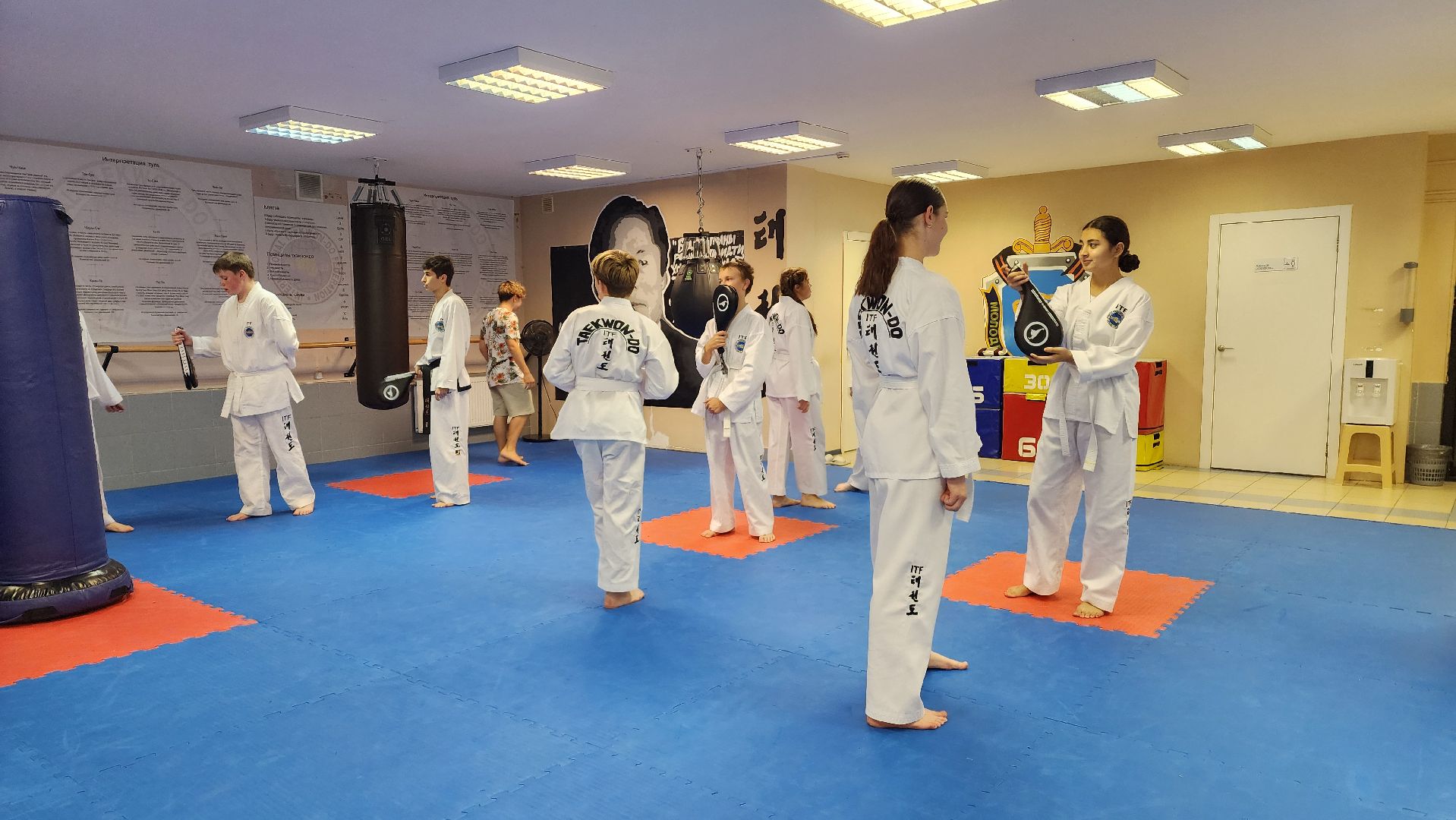 Тхэквондо , Лобня, Кадеты, единоборства,