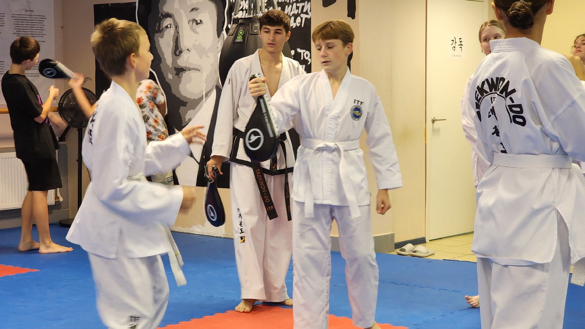 Тхэквондо , Лобня, Кадеты, единоборства,